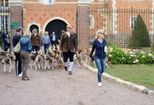 Les chiens se dirigent vers l'église pour la bénédiction