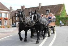 Pour les 20 ans du Parc naturel régional du Perche, les Percherons étaient aussi de la fête.