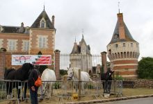 Fidèles au rendez-vous, les chevaux percherons de M. Latouche accueillaient les visiteurs sur la place.