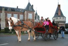 Animation de Noël 2008 par le Comité des Fêtes (promenades en calèche)