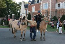 Promenades à dos de cheval avec Awenasa