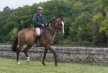 Présentation de cheval Akhal Téké par Jean de Bannes