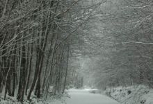 Chemin communal de Frazé enneigé